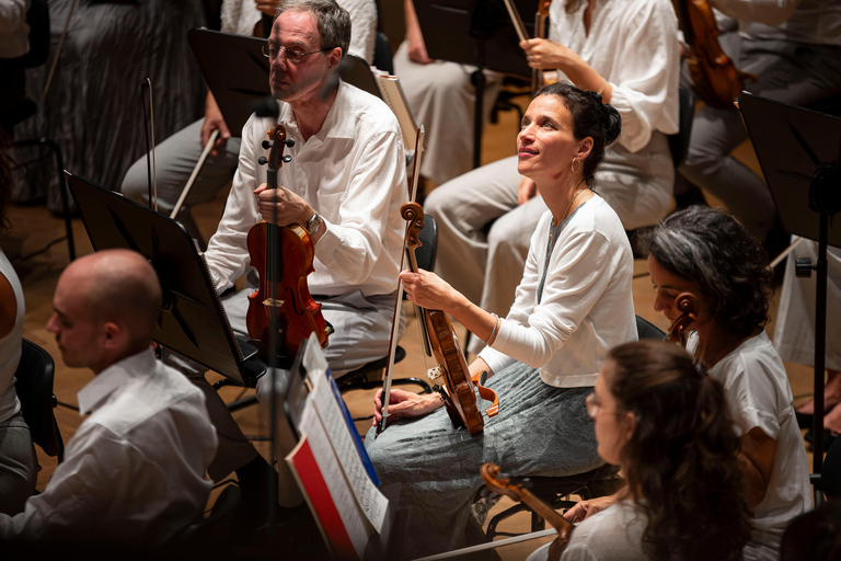 Switzerland: Swiss National Orchestra Concert Experience
