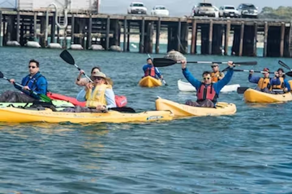 Monterey Cannery Row Kayak Tour GetYourGuide