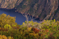Santiago de Compostela, Galizia & Il viaggio del giorno della Ribeira Sacra - Hizvo