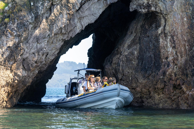 Whitianga: Bootstour in der Mercury Bay mit Cathedral Cove, Höhlen & Schnorcheln