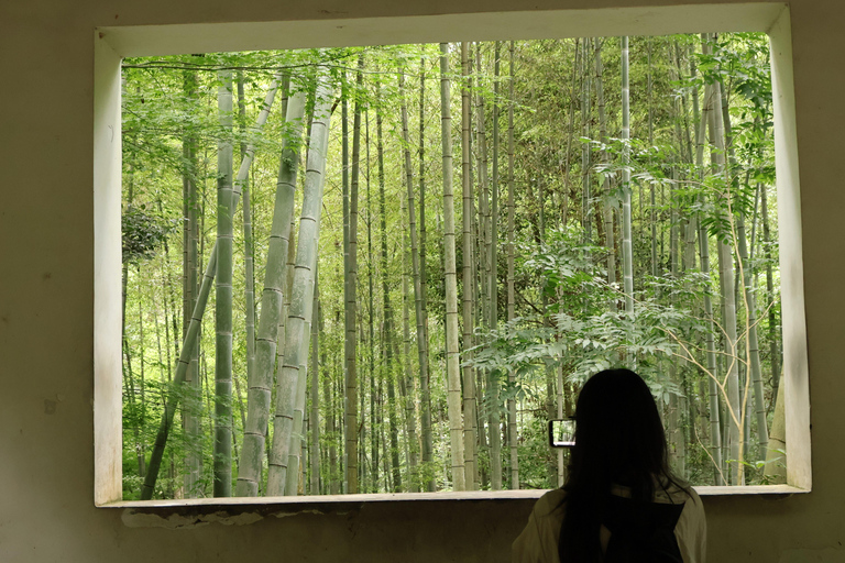 Hangzhou Half-Day: Pagoda, Bamboo Grove, and Old Street Tour