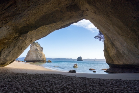 Whitianga: Cathedral Cove, kleine grotten en snorkelboottocht