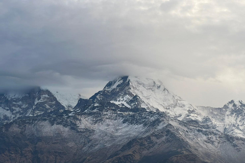 Från Pokhara: 4-dagars Poon Hill Trek med transfer