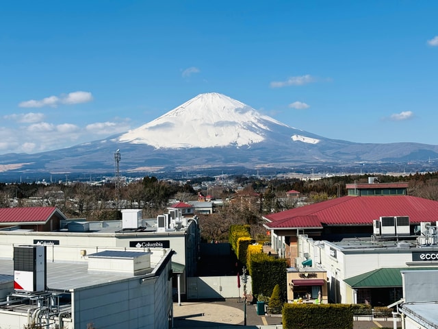 Tokyo: Private Tour to Mount Fuji & Hakone Cruise & Shopping