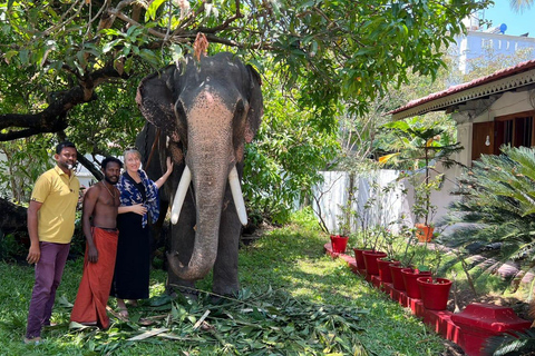 Kochi Tuk-Tuk Tour med upphämtning från kryssningsfartyg