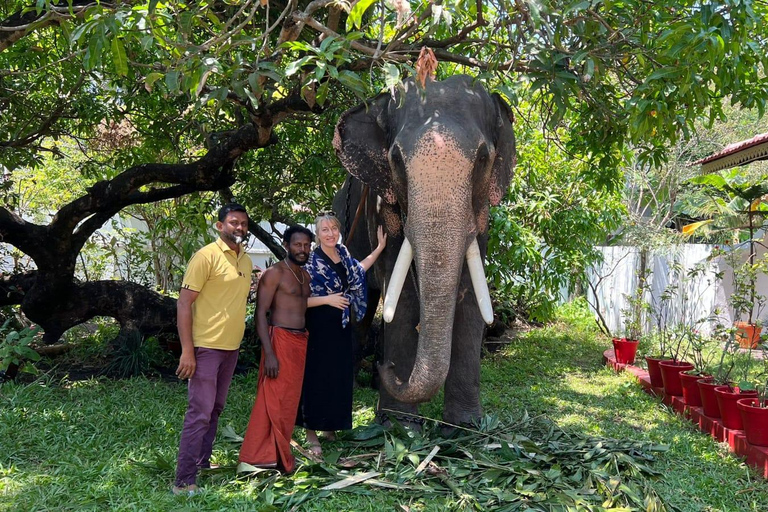 Kochi Tuk-Tuk Tour avec prise en charge à partir des bateaux de croisière