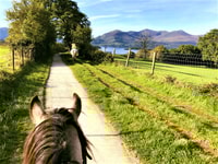 Kerry, Guided Horse Riding Tour in Killarney National Park - Housity
