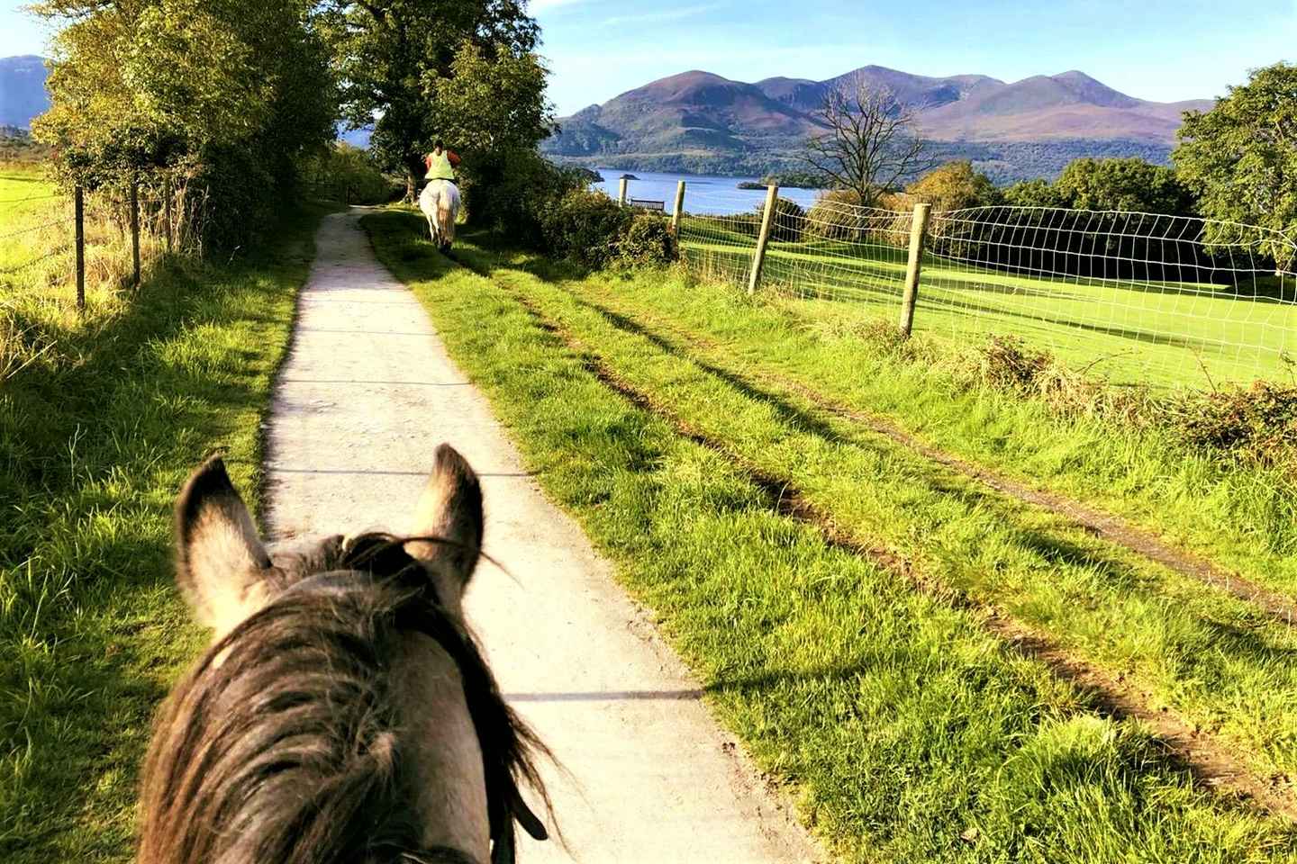 Guided Horse Riding Tour in Killarney National Park