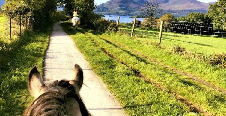 Kerry Guided Horse Riding Tour in Killarney National Park GetYourGuide