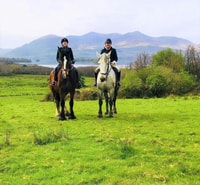 Kerry, Guided Horse Riding Tour in Killarney National Park - Housity