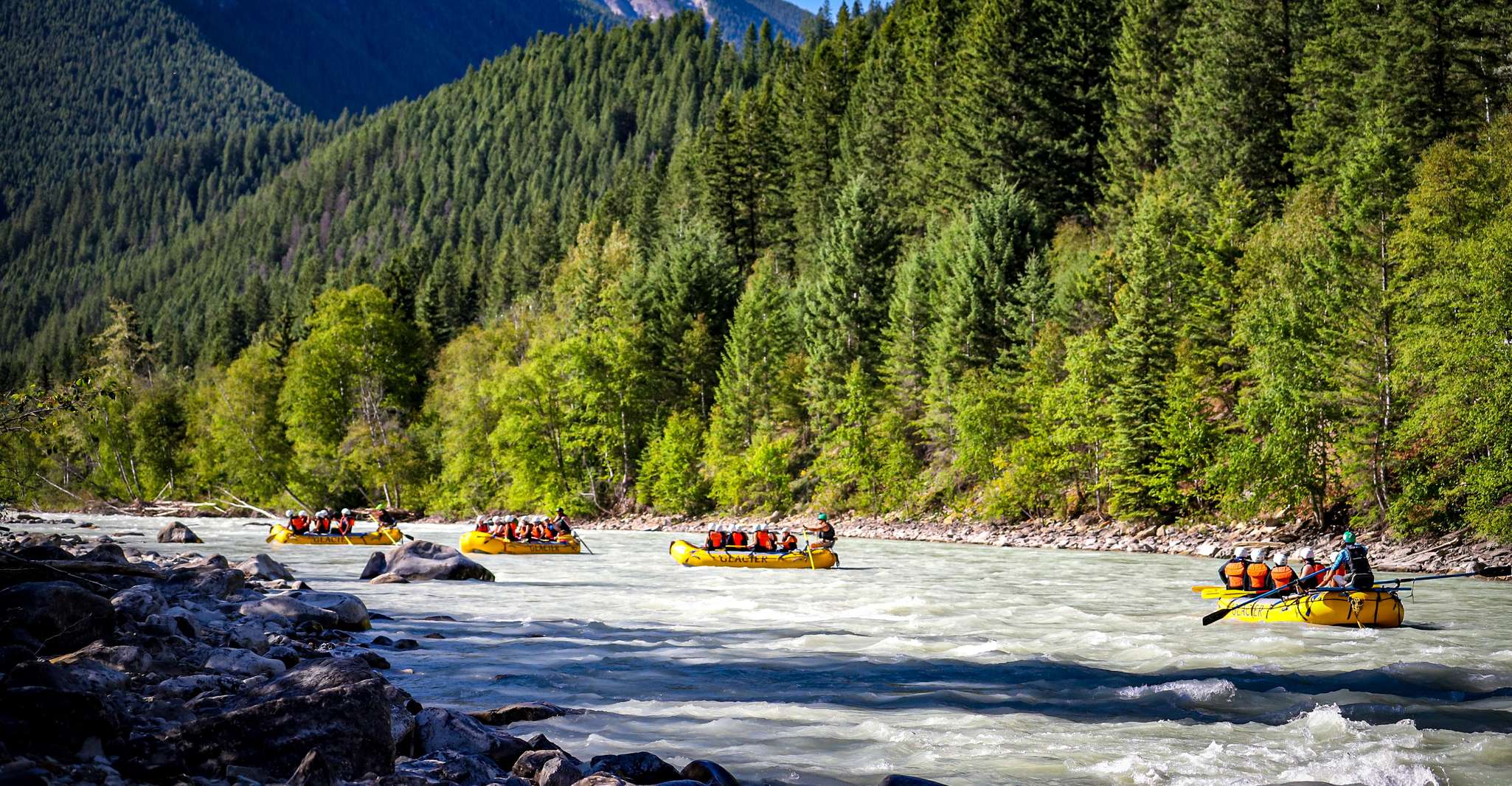 Golden, BC, Kicking Caballo Río Medio Día Whitewater Rafting - Hizvo