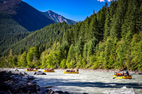 Golden, BC, Kicking Caballo Río Medio Día Whitewater Rafting - Hizvo