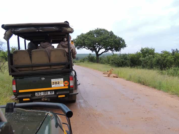 Marloth Park: Kruger National Park Safari Game Drives | GetYourGuide