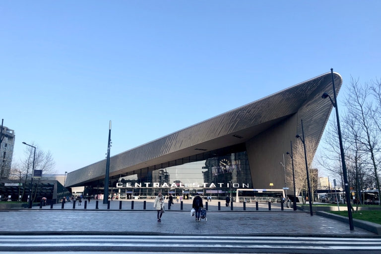 Rotterdam: Kunst en Architectuur Hoogtepunten WandeltochtPrivate Art Engels