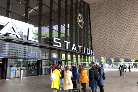 Rotterdam: visite à pied des points forts de l'art et de l'architectureArt privé Anglais