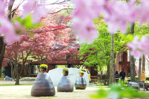 Seoul: Samaksan Cable Car & Nami with Alpaca World/Railbike Railbike Group Tour, meet at Dongdaemun (DDP)