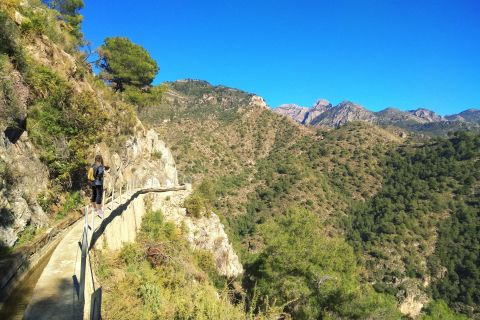 Da Malaga: tour escursionistico Frigiliana con vino e stuzzichini