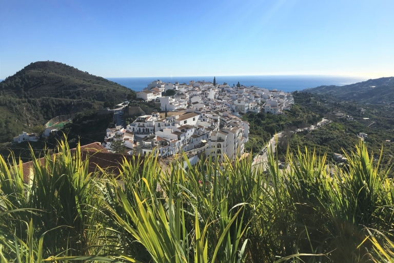 Desde Málaga: tour de senderismo por Frigiliana con vino y aperitivosDesde Málaga: excursión a pie por Frigiliana con degustación de vinos y comida