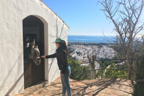 From Málaga: Frigiliana Hiking Tour with Wine & Appetizers From Málaga: Frigiliana Hiking Tour with Wine Tasting & Food