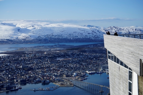 Tromsø: Private Stadtführung3-stündige Führung