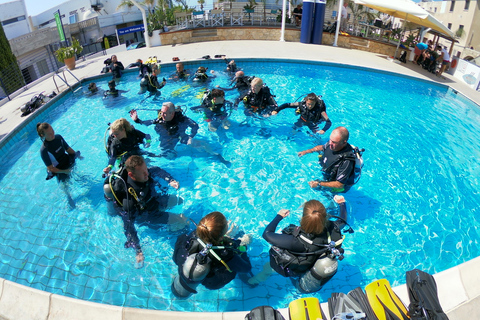 Paphos: tour de medio día de buceo en el MediterráneoPaphos: descubre el tour de medio día de buceo en el Mediterráneo