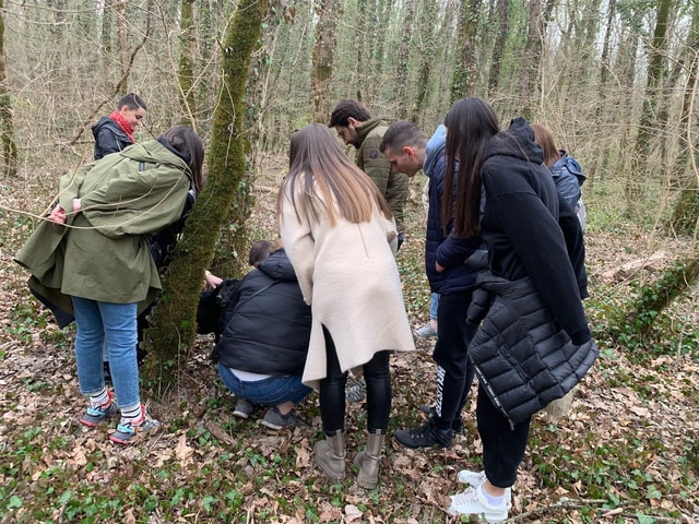 Visit Livade Guided Truffle Hunting Walking Tour in Piran