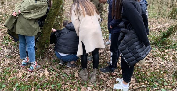 Livade: Geführte Wanderung zur Trüffelsuche Livade: Geführte Wanderung zur Trüffelsuche