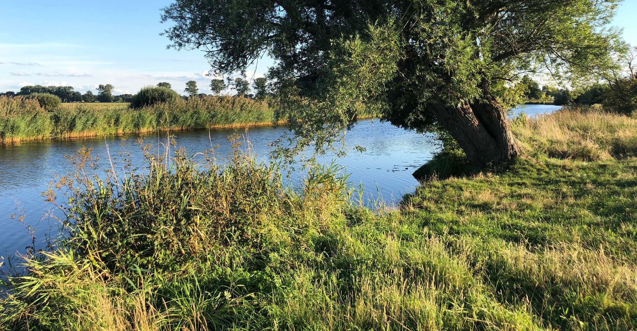 Bremen, alquiler de kayak de día completo en el río Wümme - Hizvo