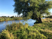 Brema, Noleggio kayak di un giorno intero sul fiume Wümme - Hizvo