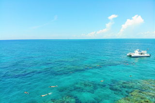 Beer Tastings in Key West