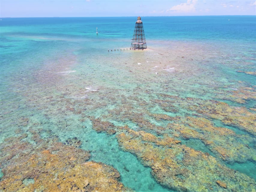 Key West Sunset Snorkel Cruise with Draft Beer & Wine GetYourGuide