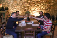 Lugana, Weinbergstour und Lugana Weinprobe - Hizvo