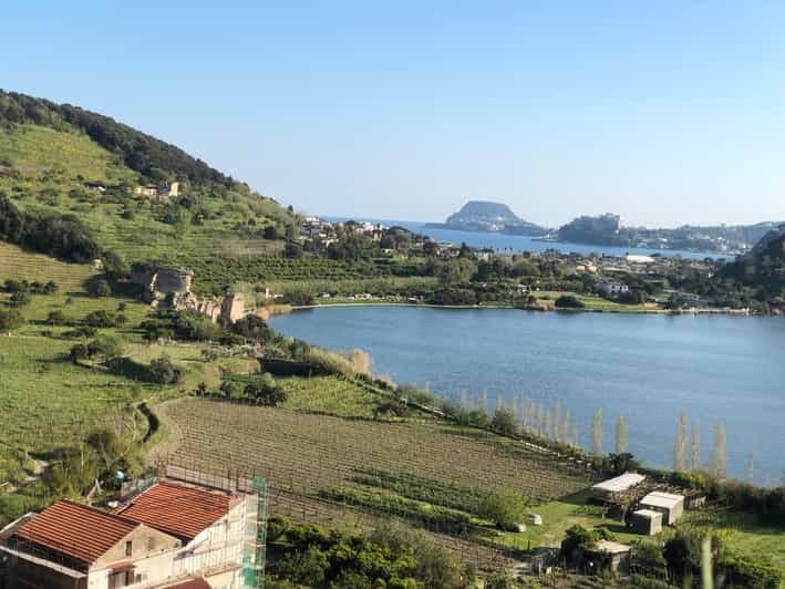 Phlegraean Fields Wine Tour: Volcanic Vineyards & Tastings near Naples