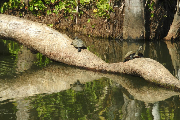 Von Puerto Maldonado aus: Tambopata National Reserve 3-Tages-Tour