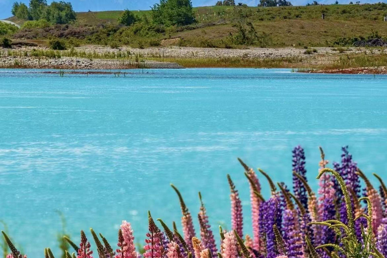 Christchurch: Mt Cook Day Tour with Lake Tekapo