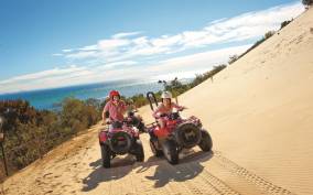 From Brisbane: Tangalooma Day Cruise with ATV Quad Bike Tour