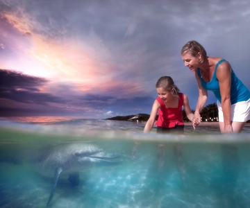 Moreton Island: Tangalooma ATV Quad Bike & Dolphin Feeding