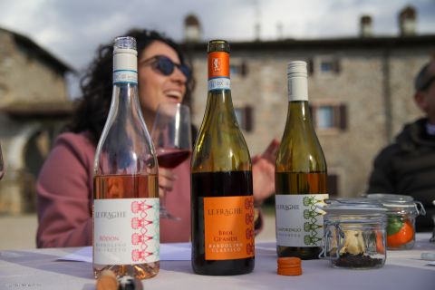Lago di Garda: Esperienza di Degustazione di Vino Gusto e Aroma