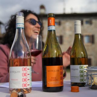 Lake Garda: Taste and Aroma Wine Tasting Experience