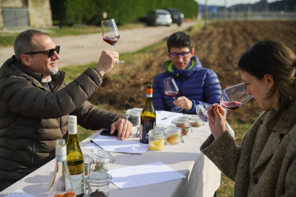 Cavaion D Gustation De Vins Biologiques Et Exp Rience Aromatique