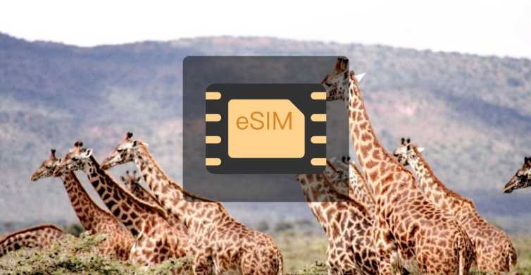 South Africa eSIM Data Plan GetYourGuide