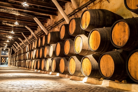 Porto : visite privée en tuk tuk avec croisière fluviale et dégustation de vinTournée française