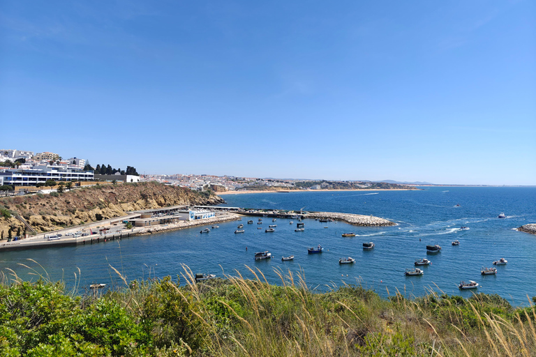 Albufeira: Albufeira Marina & west coast Tour 1.5h