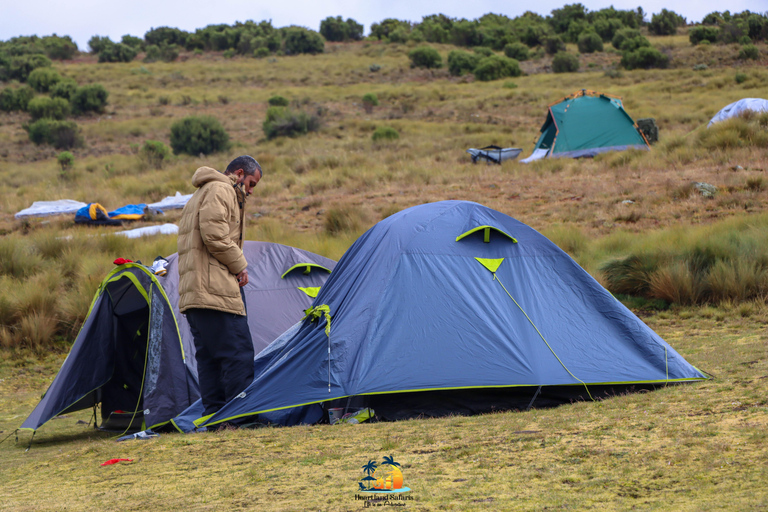 Mount Kenya: The Ultimate ChallengeClimbing Mount Kenya: The Ultimate Challenge