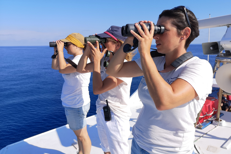 Savona: Pelagos Sanctuary Guided Cetacean Watching Tour