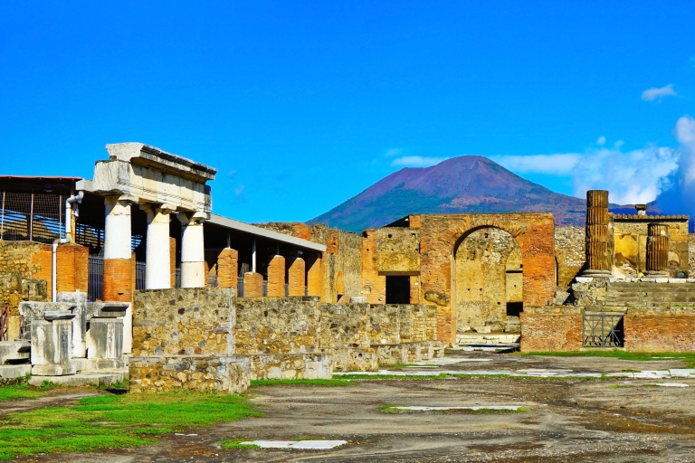 Pompei: Pompeii & Herculaneum Tour with Archaeologist Guide Pompeii: Pompeii & Herculaneum Tour with Archaeologist Guide