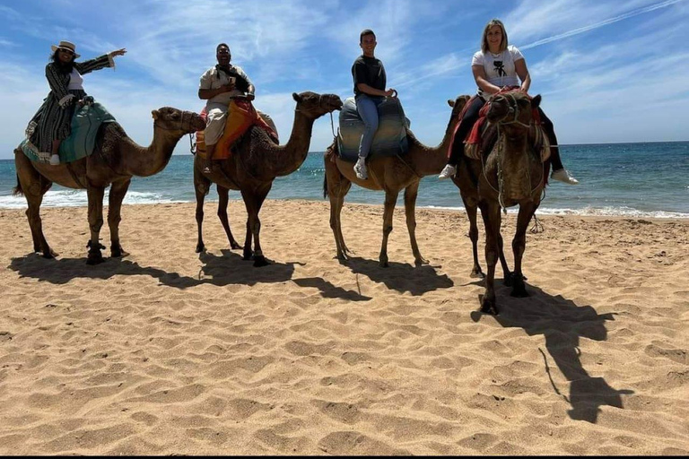 Tangier Sunset: Camel Ride, Hercules Caves &amp; Tea Experience