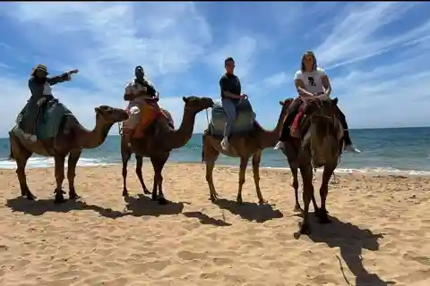 4 Hours Deluxe Guided Tour of Tangier + Camel riding + tea.