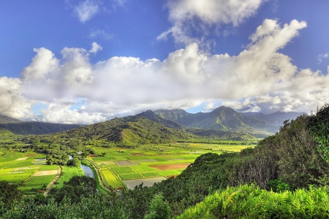 Van Poipu, Lihue en Wailua: Kauai Movie Locations TourOphalen luchthaven, Lihue en Wailua