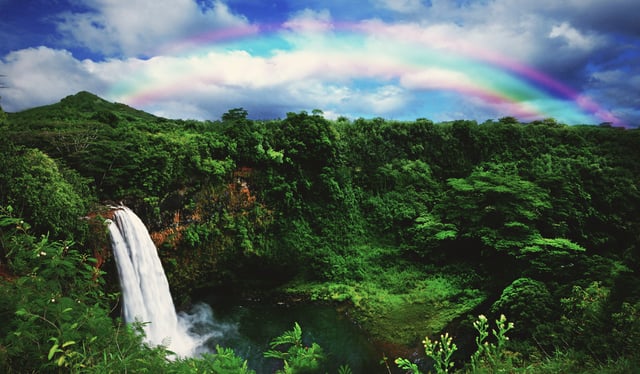 Kauai : Visite des lieux de tournage